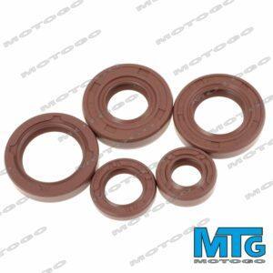 LYO viton szimering szett AM6_LYO viton oil seals set AM6